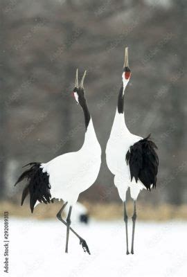  The Yellow Crane - A Tale of Love, Loss, and the Enduring Power of Memory